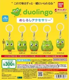 duolingo めじるしアクセサリー