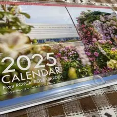 Item thumbnail for item c94f28bd-2ba0-407a-b3e1-8a3be46d6bdd