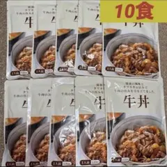 桃宝食品株式会社の牛丼のもと10食のサムネイル