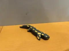 2025年最新】スピールフォームの人気アイテム - メルカリ