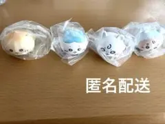 Chiikawa Baby ちいかわ ハイハイフィギュア モモンガ 古本屋