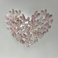 対の桜貝　50組　おまけ付き