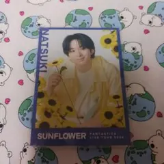 澤本夏輝 フォトカード シークレット FANTASTICS ファンタ ※最終値