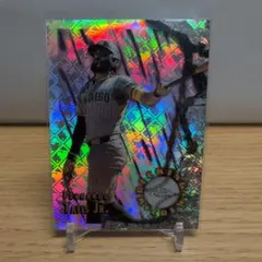 Fernando Tatis Jr. Logo Wrecking Crew