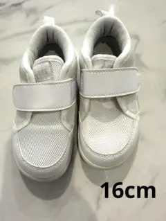 アシックス　asics スクスク　ホワイト ベルクロ　上履き