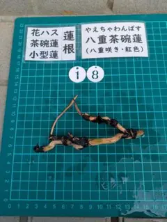 Sanbon様 リクエスト 2点 まとめ商品