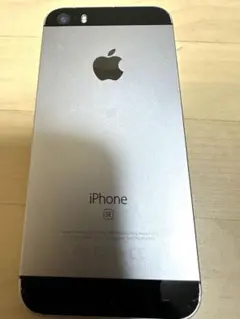 Apple iPhone SE (第1世代) 16GB ブラック本体