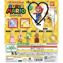 スーパーマリオ めじるしアクセサリー2