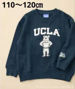 チャオパニックティピー　UCLAトレーナー　M
