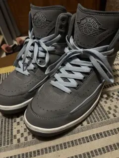 air jordan 2 cool greyのサムネイル