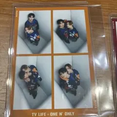 TV LIFE × ONE N' ONLY アマゾニア