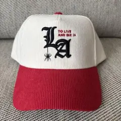  BUZZY SIG CORDUROY CAP 2色セット 森下直哉 最安 GOOSE BUZZY SIG CORDUROY CAP グースバジー コーデュロイ