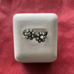 Item thumbnail for item 90d9d642-edbc-4cef-8e25-f78ba2e1f324