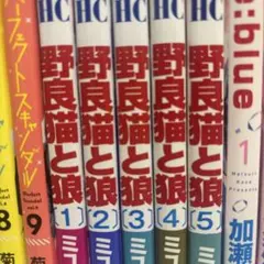 少女漫画　野良猫と狼1-5巻セット