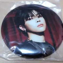 NICHOLAS　ATB缶バッジ 　＆TEAM