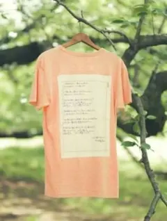 高嶺のなでしこ 橋本桃呼 未使用 ピンク XL Tシャツ - メルカリ