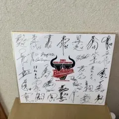 ウルフドッグス名古屋 サイン 色紙 市川健太 水町泰杜 - メルカリ