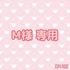 M様 専用