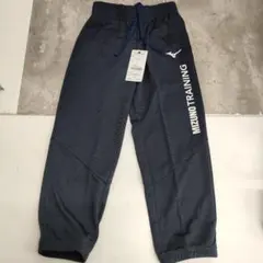 Item thumbnail for item 3174a8f0-f641-47b0-9e45-fef46aa23caf