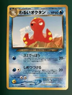 ちむ様 リクエスト 2点 まとめ商品