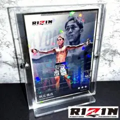 Item thumbnail for item 354b9922-7047-4bc7-ad97-3cdb49f27e1e