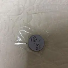 Item thumbnail for item 2d6e01aa-925d-46f5-8395-a55aed0a0817