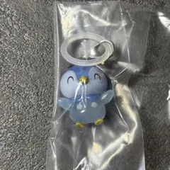 めじるしアクセサリー ポケモン