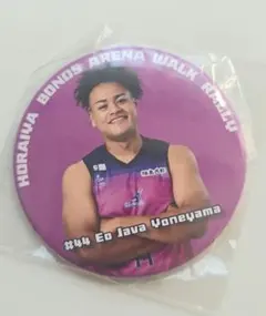 Item thumbnail for item f0a1a7bf-5ce5-4f99-b83c-4b1838d879d9