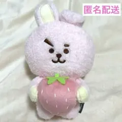 2025年最新】bt21 ぬいぐるみ cookyの人気アイテム - メルカリ