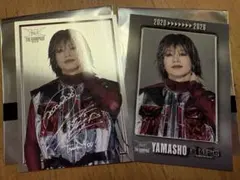 最終値下げ　THERAMPAGE 山本彰吾　フォトカード　シークレット