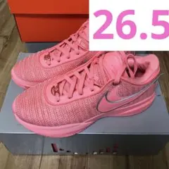 NIKE LEBRON XX EP “PINK DIAND” 28cm - メルカリ