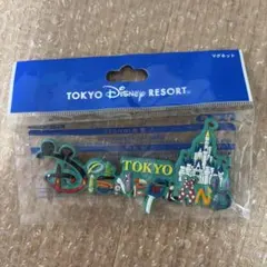 東京ディズニーランド マグネット
