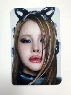 xg タレントカード