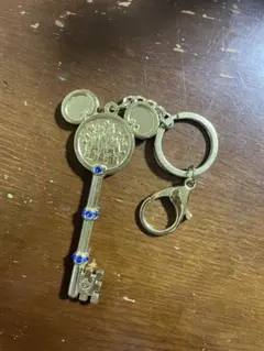 上海 ディズニー 限定 キーホルダー