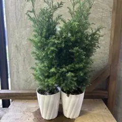 光触媒 人工観葉植物 ウォールグリーン フェイクグリーン ゴールド 