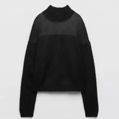 ZARA シアーKニット