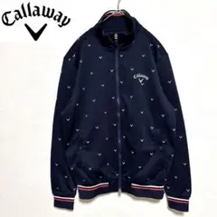 Item thumbnail for item 594108a9-d409-4b67-807a-010eeaf62b7e