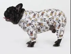 Item thumbnail for item 83ae7a69-9516-4d9e-a945-ec779136f014