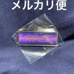 嵐 ライブ グッズ 2026 歴代ライブロゴマグネット デジタリアン