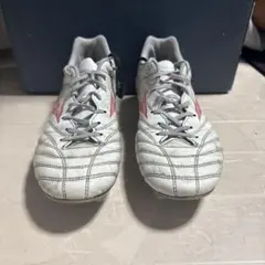 モナルシーダレッド