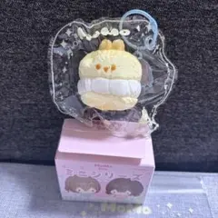 momo ミニ　シュークリーム　うさぎ