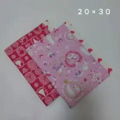 ランチョンマット 2枚セット 20×30 ランチクロス アリス プリンセス