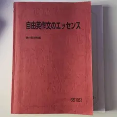 駿台 竹岡 自由英作文のエッセンス 解答例付き - メルカリ