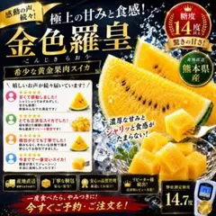 2玉入り！お得！数量限定 金色羅皇 熊本県産 糖度14度以上 大玉