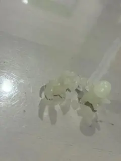 リザードン　ヒトカゲ　レトロ品