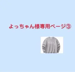 よっちゃん様専用ページ③