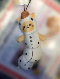 のびねこ 群馬　おかいーこのサムネイル
