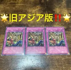 遊戯王 つり天井 アジア 3枚 セット - メルカリ