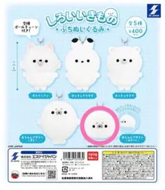 azu様専用しろいいきもの ぷちぬいぐるみ 赤ちゃんアザラシ（ねそべり）