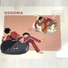 AA☆ 　ハイキュー 黒尾鉄朗 孤爪研磨 クリアファイル toho